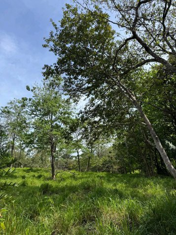 Finca Chineo frente a calle pública en Eco Lagarto en Santa Cruz, Guanacaste — $99,000 - Foto 2 de 16