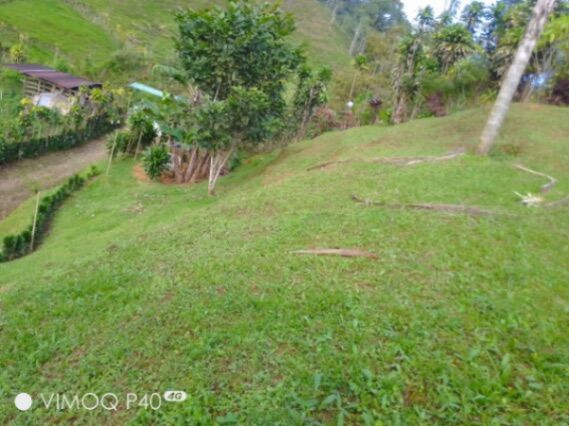 Venta de lote en Páramo, Pérez Zeledón, San José — ₡ 9 000 000