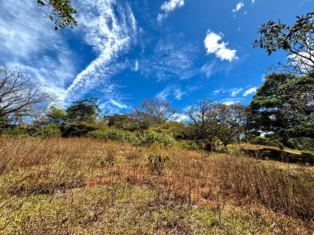 Se vende finca en La Guacima de Alajuela en Guácima, Alajuela — $567,000 - Foto 2 de 16