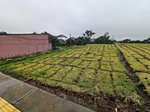Se vende lote de 367m2 en San Pablo de Heredia 25-868 in San Pablo, Heredia — ₡ 79 500 000