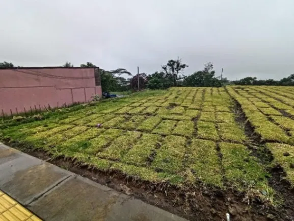 Se vende lote de 367m2 en San Pablo de Heredia 25-868 in San Pablo, Heredia — ₡ 79 500 000