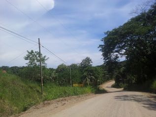 Bella finca 3.6 Ha con vocacion Turistica en Cobano en Cóbano, Puntarenas — $180,000 - Foto 2 de 25