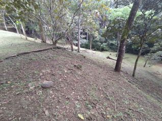 Propiedad Ideal para Descanso en Medio de la Naturaleza in San Pedro, Turrubares, San José — $85,000 - Photo 4 of 31