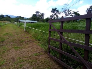 VENTA - Finca con vistas a dos volcanes cerca del Río Celeste- con casa de habitación in Katira, Guatuso, Alajuela — 130 000 000 ₡ - Photo 4 of 27