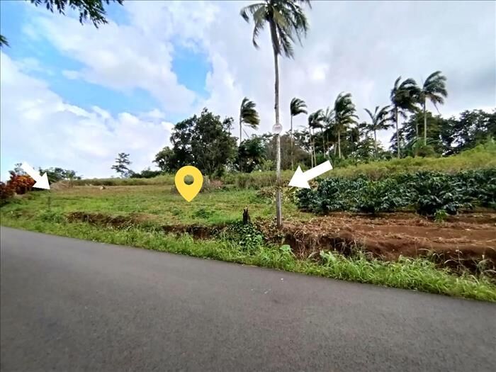 Lote en venta en San Carlos en Venecia, San Carlos, Alajuela — ₡ 1