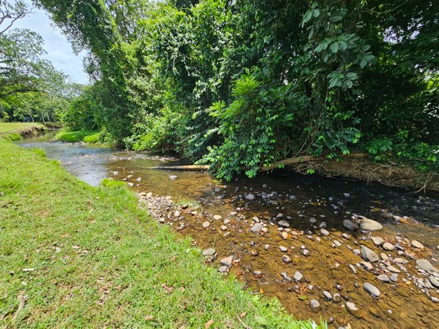 DE OPORTUNIDAD BELLA FINCA PRÓXIMA A LA FORTUNA DE SAN CARLOS. en Peñas Blancas, San Ramón, Alajuela — ₡ 200 000 000 - Foto 3 de 5
