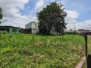 Se vende lote de 504 m2 ubicado en el centro de Guápiles. in Guápiles, Pococí, Limón — ₡ 38 000 000 - Photo 5 of 8