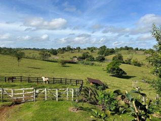 Venta de Finca ganadera en Moravia de Cutris en San Carlos en Cutris, San Carlos, Alajuela — $3,200,000 - Foto 4 de 21