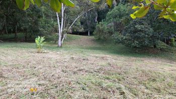 Venta de Finca, Puntarenas, Golfito - Foto 3 de 3