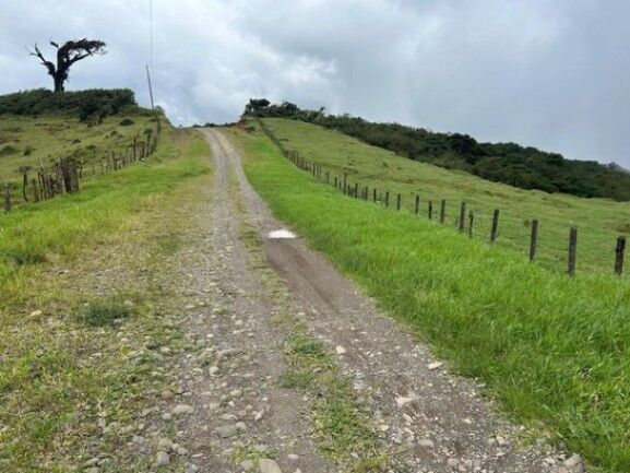 MLS-26-18 LS VENTA LOTE PALMITAL PUNTARENAS en Puntarenas — ₡ 25 500 000