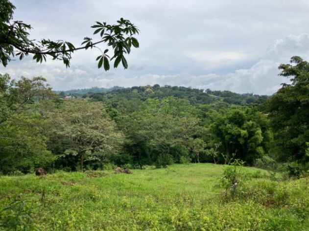 ATENCIÓN INVERSIONISTAS : ESPECTACULAR FINCA EN ATENAS, ALAJUELA.  in Atenas, Alajuela — $1,000,000