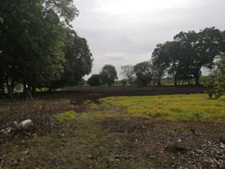 VENTA DE LOTE ALTA DENSIDAD, GUANACASTE, CARRILLO, PALMIRA in Palmira, Carrillo, Guanacaste — $544,135 - Photo 4 of 5