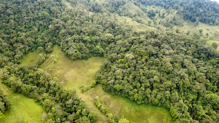 Refugio de Montaña de 72 Hectáreas en Cajón, Pérez Zeledón, San José — $1,200,000 - Foto 2 de 24