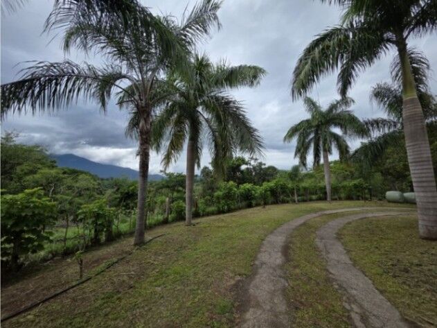 VENDO FINCA CON CASA, PISCINA Y RANCHO EN OROTINA DE ALAJUELA. en Orotina, Alajuela — $599,000