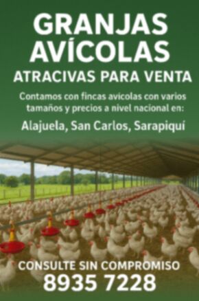 VENTA DE FINCAS GANADERAS Y AVICOLAS EN VENTA in Río Cuarto, Alajuela — ₡ 50 000 000