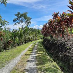 Parcela en Lourdes de San Vito de Coto Brus en San Vito, Coto Brus, Puntarenas — 39 266 000 ₡ - Foto 4 de 26