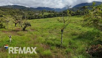 LOTE EXCLUSIVO EN VENTA – IDEAL PARA VIVIENDA O INVERSIÓN in San Isidro De El General, Pérez Zeledón, San José — $65,000 - Photo 4 of 7