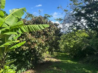 Venta - Terreno de 13.400 m2 en San Miguel, Santo Domingo, Heredia — $1,100,000 - Foto 5 de 14