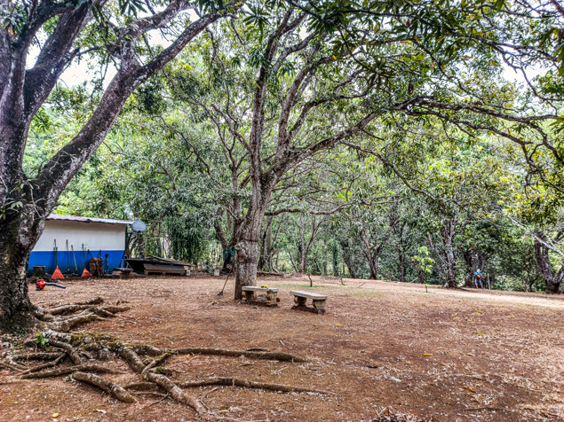 Se Vende Finca de 11,830 m2 en Orotina con Frente al Rio Machuca en Orotina, Alajuela — $295,000 - Foto 2 de 16