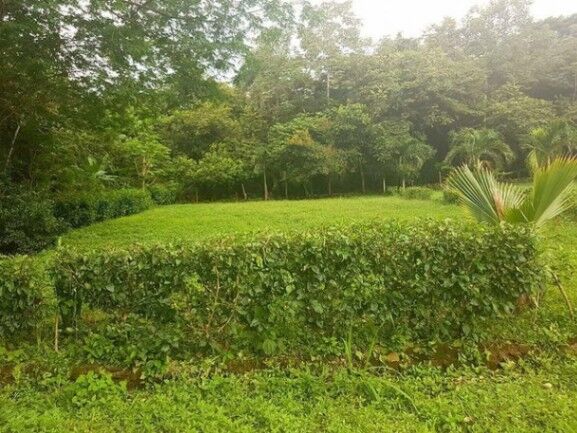 MLS-25-631 VENTA LOTE LA CEIBA OROTINA  in La Ceiba, Orotina, Alajuela — ₡ 25 000 000