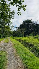 Terreno a la venta en Puerto Viejo, Limón en Cahuita, Talamanca, Limón — $90,000 - Foto 5 de 13