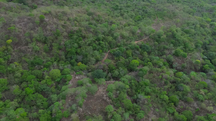 Guanacaste Propiedad para Desarrollo Turístico y Residencial en Tamarindo, Santa Cruz, Guanacaste — $9,800,000 - Foto 3 de 13