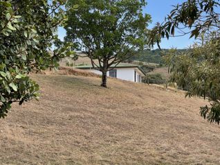 Terreno en Venta en San Ramón de Alajuela
