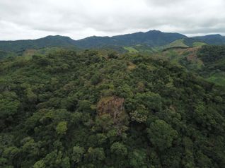 VENTA TERRENO (FINCA) DE USO AGRICOLA, GUANACASTE, CAÑAS in Cañas, Guanacaste — $2,900,000 - Photo 4 of 8