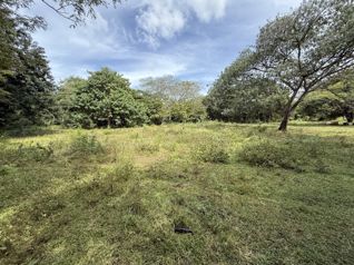 Terrenos Comerciales en Venta – Villa Real, Guanacaste - Foto 2 de 3