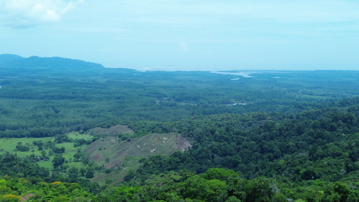 Finca de 107 Hectáreas en Sierpe, Osa en Sierpe, Osa, Puntarenas — ₡ 482 800 000 - Foto 2 de 10