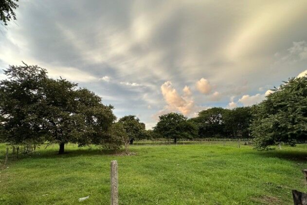 Ventas de lotes de diferentes tamaños  en Tamarindo, Santa Cruz, Guanacaste — ₡ 35 000 000