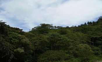 Finca de 28 ha, Valle de OROSI, Cartago en Orosi, Paraíso, Cartago — $850,000 - Foto 5 de 5