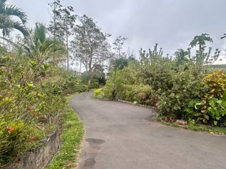 VENTA DE QUINTA CON CASA, APTO Y PISCINA, SAN RAMÓN, SAN ISIDRO en San Isidro, San Ramón, Alajuela — $430,000 - Foto 2 de 21