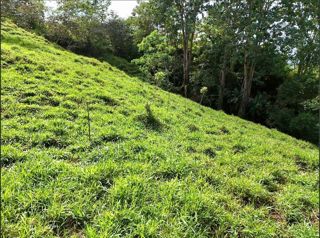 SE VENDE QUINTA CON ARROYO NATURAL Y VISTAS PANORAMICAS in El General, Pérez Zeledón, San José — $138,500 - Photo 5 of 5