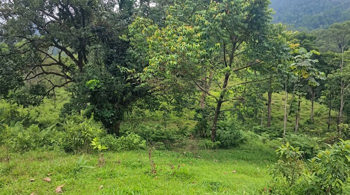 FOR SALE: RESIDENTIAL AND AGRICULTURAL LOT, HEREDIA, SARAPIQUÍ in La Virgen, Sarapiquí, Heredia — 20 000 000 ₡ - Photo 1 of 5