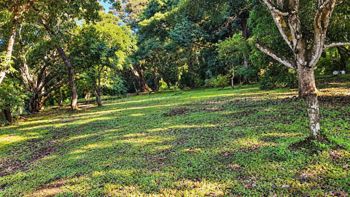 Venta de Lote en Lagunillas, Puntarenas. RAH 27-1002 OPORTUNIDAD DE INVERSIÓN en Biolley, Buenos Aires, Puntarenas — 95 000 000 ₡ - Foto 5 de 8