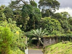 ¿Sueñas con construir la casa de tus sueños en un entorno tranquilo y rodeado de naturaleza? OFC /AD en San Ramón, La Unión, Cartago — $240,000