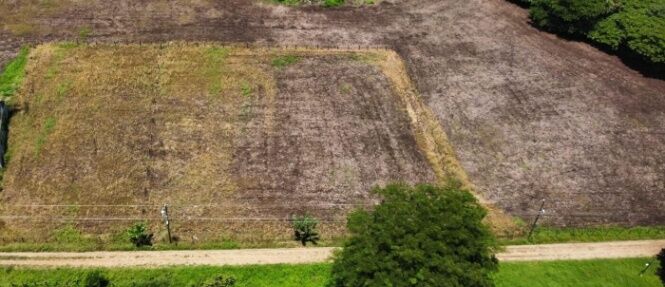 Venta de Lote Plano en Nicoya-San Antonio de Guanacaste. RAH 25-422 in San Antonio, Nicoya, Guanacaste — ₡ 13 000 000
