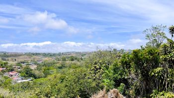 SE VENDE LOTE EN SAN ISIDRO, SAN RAMON in San Ramón, Alajuela — $150,000 - Photo 4 of 20