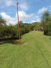 FINCA PRODUCTIVA DE 10.97 HECTÁREAS CON CABINAS, PISCINA Y PLANTACIÓN DE LIMÓN EN GUANACASTE en Las Juntas, Abangares, Guanacaste — 500 000 000 ₡ - Foto 5 de 35