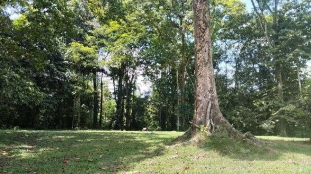 LOTE EN VENTA, HEREDIA SARAPIQUI $176.000 COD#25-1428 in Las Horquetas, Sarapiquí, Heredia — $176,000