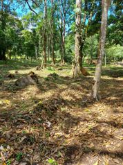 TERRENO EN BAJO RODRÍGUEZ en Rodríguez, Sarchí, Alajuela — $60,000 - Foto 5 de 8