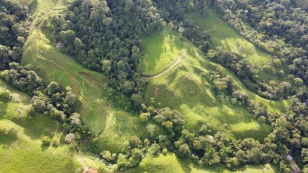 VENTA DE FINCA EN SAN MARCOS DE BARÚ, PÉREZ ZELEDÓN en Barú, Pérez Zeledón, San José — $432,000