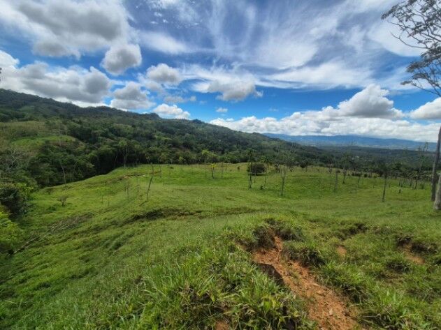 5.12 hectares en Miraflores, Perez Zeledon. en San Isidro De El General, Pérez Zeledón, San José — $359,999