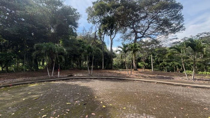 El primer condominio de Atenas, con 80 lotes de 260 m² a 562 m² en Atenas, Alajuela — $102,750 - Foto 3 de 14