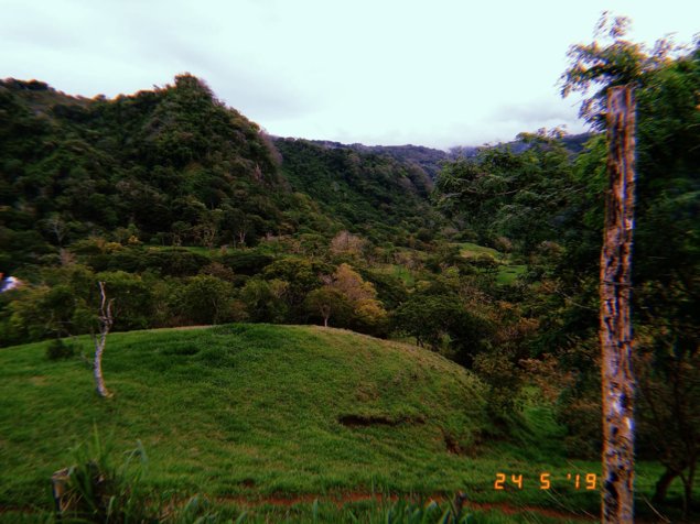 SE VENDE (VENTA) FINCA, SAN RAMON PIEDADES SUR, Código # GU1003 in San Ramón, Alajuela — ₡ 295 000 000 - Photo 2 of 11