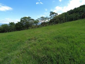 Se vende amplia finca de 26 hectáreas en Ciudad Colon 23-3180 en Colón, Mora, San José — $9,100,000 - Foto 4 de 22