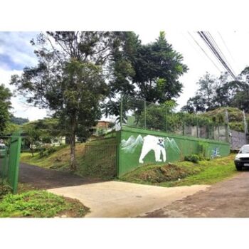 Farm For Sale Santiago, San Ramón, Alajuela