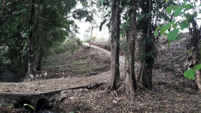 VENTA DE FINCA, USO MIXTO, ALAJUELA, SAN CARLOS, LA TIGRA en La Tigra, San Carlos, Alajuela — ₡ 160 000 000