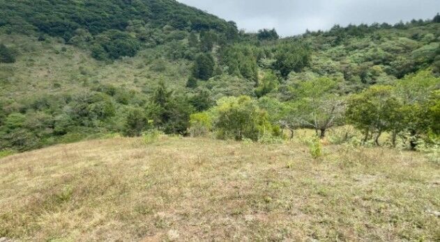 Venta de Lote en Quebradilla, Cartago. RAH 25-1668 in Quebradilla, Cartago — ₡ 90 000 000